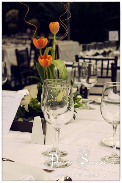 fuentes22-boda-jiutepec-cyf002